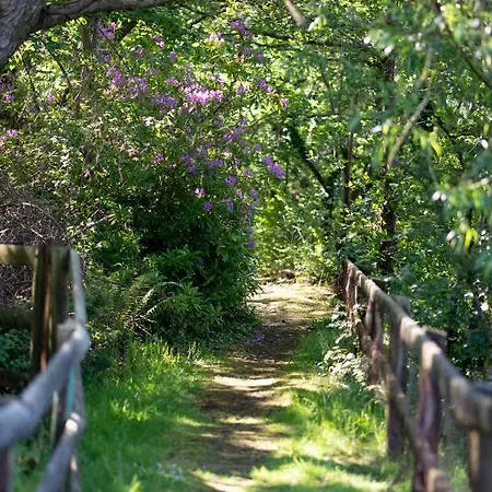 House 3* Innishannon