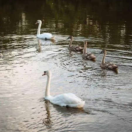 House Hotel Innishannon