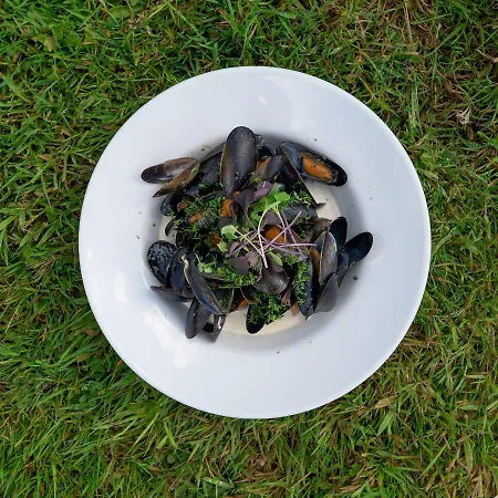 House 3* Innishannon