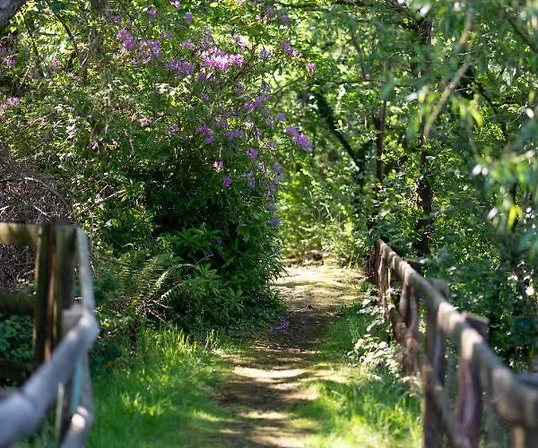 House 3* Innishannon