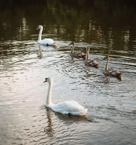 House Hotel Innishannon